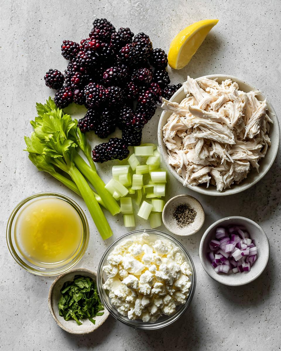 Overhead view of ingredients for blackberry cottage cheese chicken salad: shredded chicken, blackberries, cottage cheese, celery, lemon, and onion.